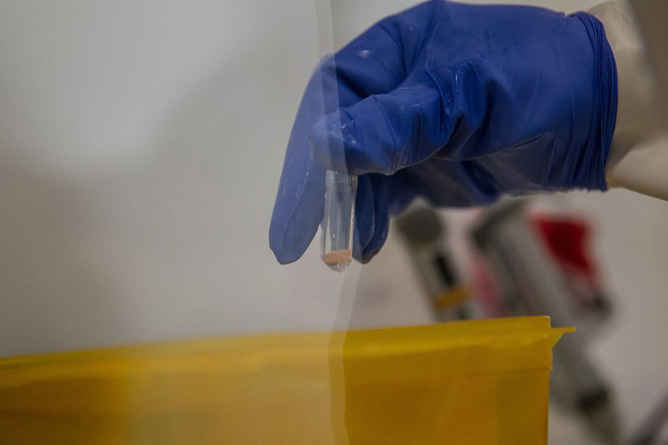 Sẵn sàng thử nghiệm lâm sàng để kiểm tra hiệu quả của vaccine chống Ebola tại Guinea